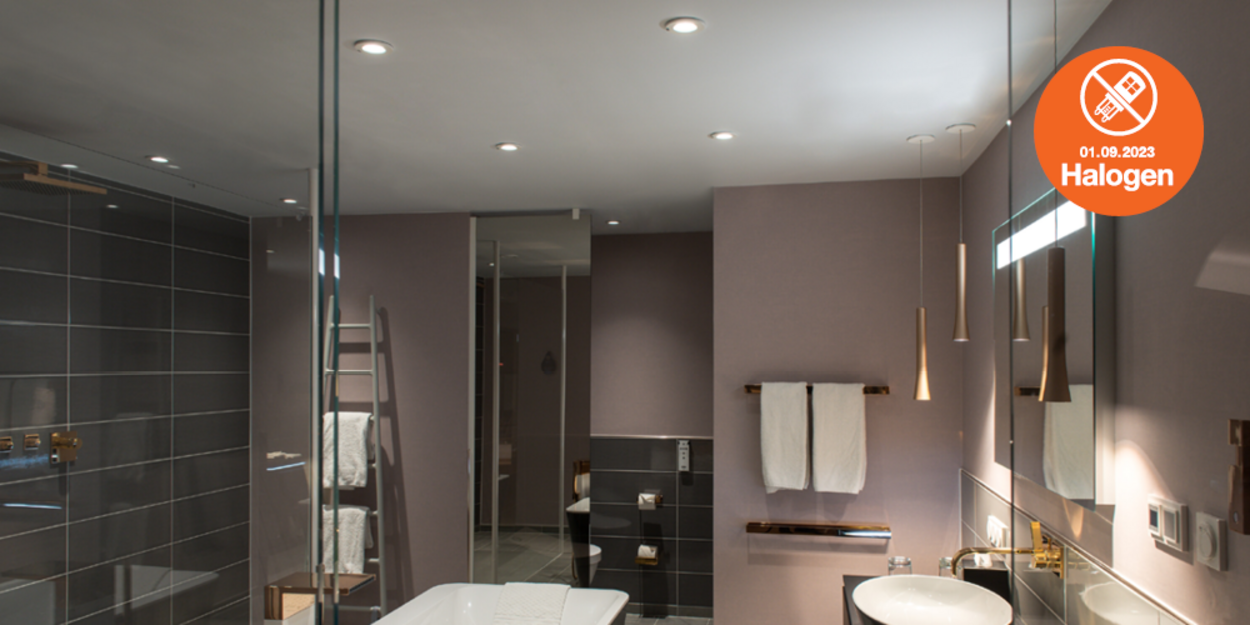 Lösungen zum Halogenlampen Verbot bei GVS Kälte Klima Technik GmbH in Königsbach-Stein